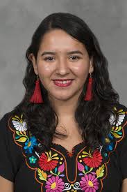 Undocumented Student Mental Health in School and College Settings