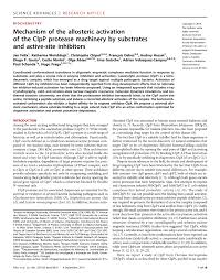 Recebera uma password nova no seu email de registo. Pdf Mechanism Of The Allosteric Activation Of The Clpp Protease Machinery By Substrates And Active Site Inhibitors