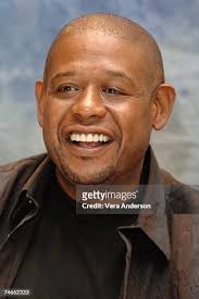 61 Macavoy Stock Photos, High-Res Pictures, and Images