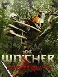 Initially, games for personal computers were developed based on a series of novels, greatly increasing the appeal of this fantastic and strange universe. The Witcher Monster Slayer Comes To Ios And Android For Free In July Guide Stash
