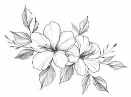Pin By Cj Molina On Art Violet Flower Tattoos Violet Tattoo Flower Drawing