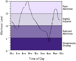 Epilepsy Insomnia Treatment Circadian Rhythm Chart A Good