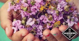 Interesting facts about a flowers for kids. Flower Facts For Kids Gardening Channel
