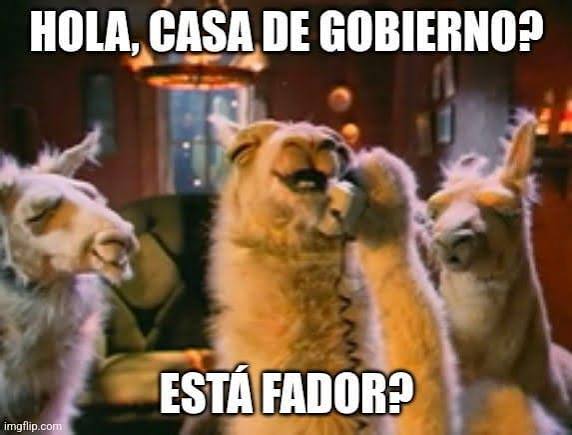 la llama que llama : r/RepublicaArgentina