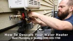 We did not find results for: How To Descale A Tankless Water Heater Best Plumbing And Sewer 206 633 1700 Youtube