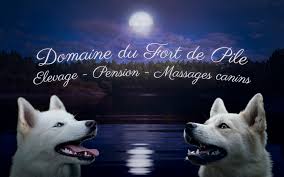 Domaine du fort de pile