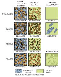 Carbonate Classification Sepm Strata