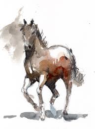 Image result for HORSE