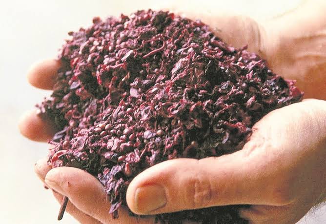 Orujo de uva: un residuo de gran potencial en la lucha contra el cáncer