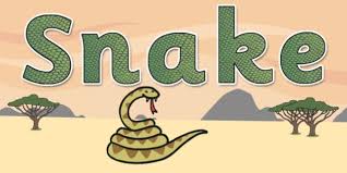 Snake Display Lettering Teacher Made