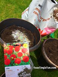 Check spelling or type a new query. Wilko Gardening Product Review Feasting Is Fun
