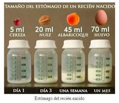 Mamauniverso Cuanta Leche Debe Tomar Mi Bebe