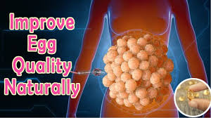 Maybe you would like to learn more about one of these? Can Homeopathy Improve Egg Quality Poor Egg Quality 5 Ways To Reverse Poor Egg Quality Naturally