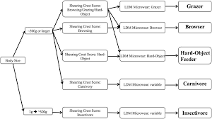 Flow Chart Representing The Path Taken Toward The Assignment