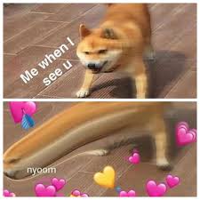 I Love U And I Hope Ur Doing Great Memes