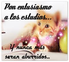 Las mejores frases de motivación para estudiantes. Originales Pensamientos Y Frases Motivadoras Para Estudiar