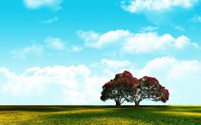 You can download cb backgrounds, cb editing backgrounds, hd backgrounds, hair png, cb hair png and editing material from here Background For Photoshop Wallpapers Free Background For Photoshop Wallpaper Download Wallpapertip