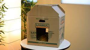 Diy Fun And Easy Way To Build A Cardboard Cat House Moving Insider