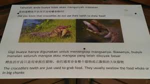 Media in category teluk sengat crocodile farm. Teluk Sengat Crocodile Farm Picture Of Teluk Sengat Crocodile Farm Kota Tinggi Tripadvisor