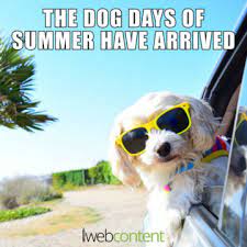 Check spelling or type a new query. Meme Portfolio Iwebcontent