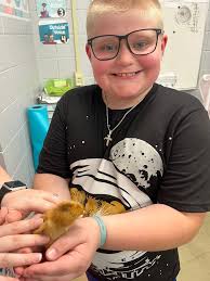 2nd grade had the cutest new students come into the classroom this week!!  🐣 We have loved getting to watch the life cycle of a chicken unfold right  in our classroom. Thank