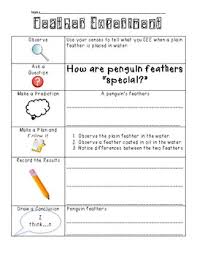 Penguin Feather Experiment Lab Record Sheet In 2020 Experiments Penguins Feather
