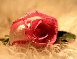 يقال أعذب الشعر أكذبه وأنا اقول أعذب الشعر أصدقه الأرشيف الصفحة 4 منتديات تداول