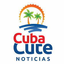 Podrás solicitar tu licencia de conducción y carnet de identidad online. Cuba Cute Noticias Photos Facebook