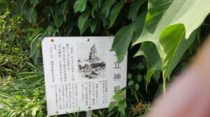 沼島 木村屋 路地裏の猫の一人歩き
