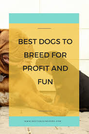 Make Your Dog Breeding Business Profitable By Selecting The Best Dog Breeds To Raise From Puppys And Sell G Dog Breeding Business Best Dog Breeds Dog Business