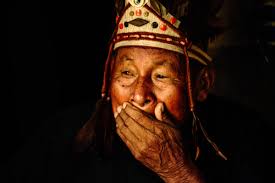 Colombian companies defy laws, push Amazon carbon projects in Indigenous  lands