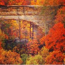 Natural Bridge State Park Beautiful Fall Colors In Kentucky Heaven On Earth Natural Bridge Kentucky Travel Autumn Scenery