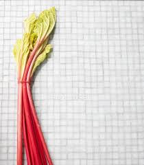 For example, you may waterbath or steam can rhubarb, or dry it. Fresh Bunch Of Rhubarb Clean Eating Raw Food Stock Photo 151233578