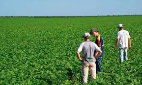 Dia del ingeniero agronomo y el dia del. Ingenieros Agronomos Proyecciones De Una Profesion En Crecimiento Agrofy News