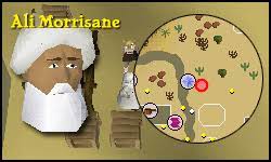 Nov 07, 2020 · ali the trader: Rogue Trader Pages Tip It Runescape Help The Original Runescape Help Site