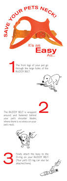 Buddy Belt Dog Harness Black Smooth Leather