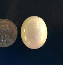 We did not find results for: Khasiat Tulang Ikan Duyung Diantara Permata Dan Teras Facebook