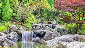 Japanische gärten sind oasen der ruhe und entspannung, oft wecken sie auch mystische. 100 Pfalz Japanischer Garten Kaiserslautern