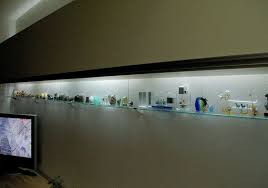 長寸のガラス棚を取り付けて フクロウの置物を陳列し 最終的にはアクリル板でカバーしています ガラス棚 ガラス 棚