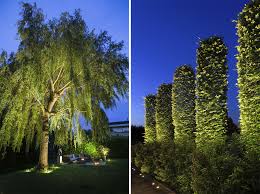 Bomen Licht Je Uit Met In Lite Spots Tuinverlichting Garden Outdoor Lighting Boom Verlichting Tuinverlichting Tuin Ideeen