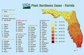 Plantfinder By Betrock Informatiom Systems The Authority On Plant Information Plant Information Florida Plants Plant Hardiness Zone