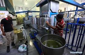 In Pics Olive Oil Processing Factory In Ajloun Jordan Xinhua English News Cn