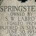 Of Springsteel and moving history
