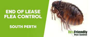 This company currently has approximately 1 to 5 employees and annual sales of under $500,000. Pest Control South Perth