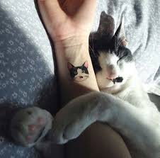 Cat Tumblr Kedi Dovmeleri Dovme Kedi