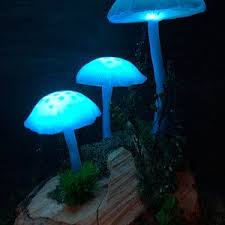 Mushrooms Night Light Mashroom Lamp Polymer Clay Fungi Moss And Succulent Fairy Decor Led Mushroom Lights Mushroom Lamp Stuffed Mushrooms