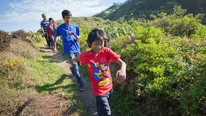 Get on board today and find out the requirements to move to new zealand. Migrating To New Zealand From Malaysia New Zealand Now