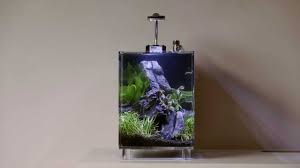 Betta Cube Nano Tank Set Up Betta Nano Tank Betta Tank