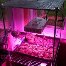 There are 6 ways to get from cape town to garden route by plane, bus, train or car. 165w Full Spectrum Led Grow Light Hot Sale South Africa Cape Town Garden Tools Public Ads 126707