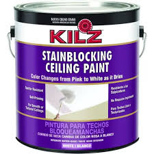 Kilz 68041 Stain Blocking Ceiling Paint